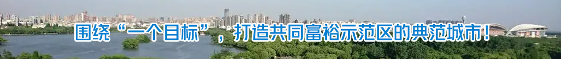 围绕“一个目标”，打造共同富裕示范区的典范城市